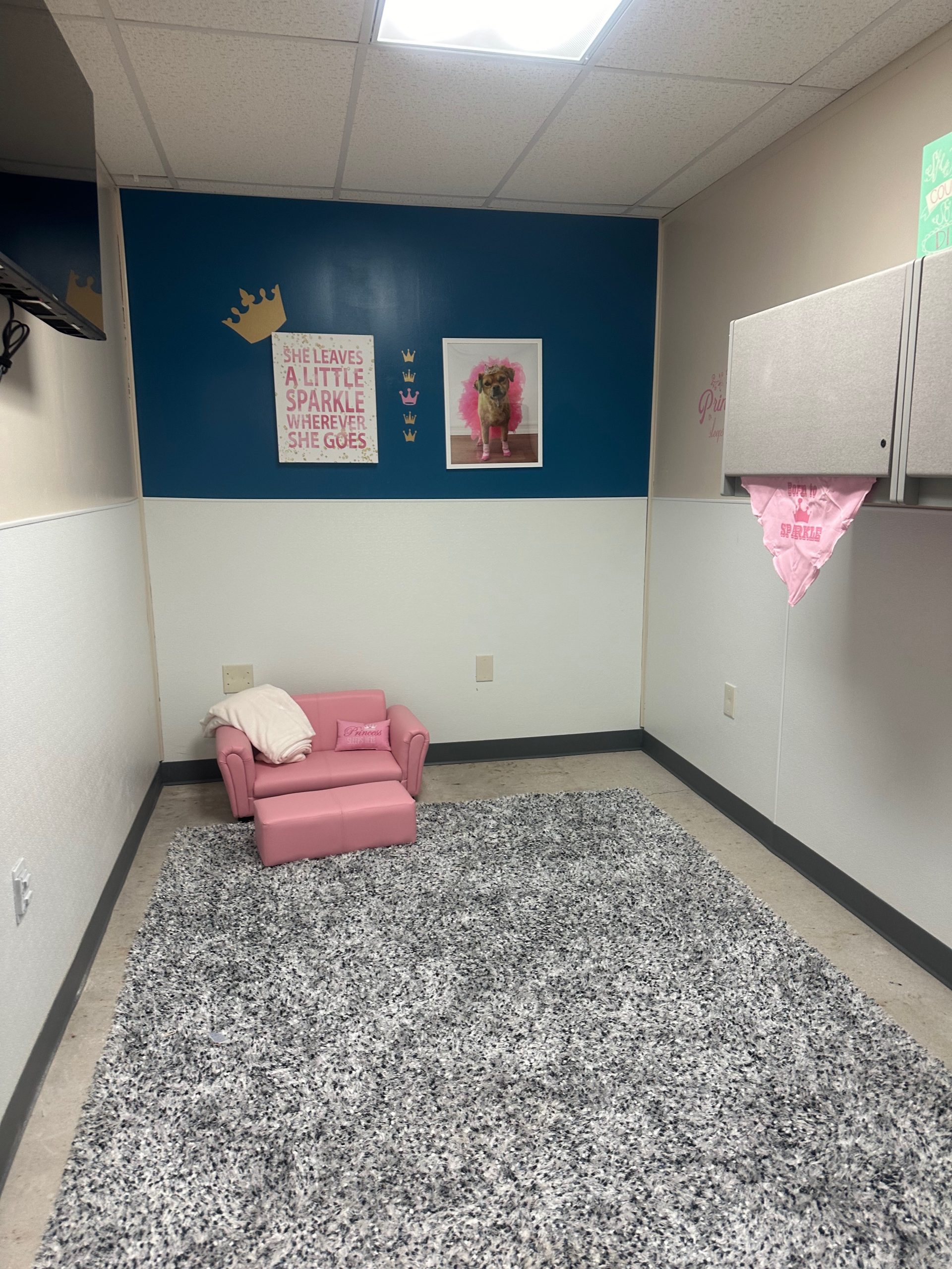 Private Room - Princess